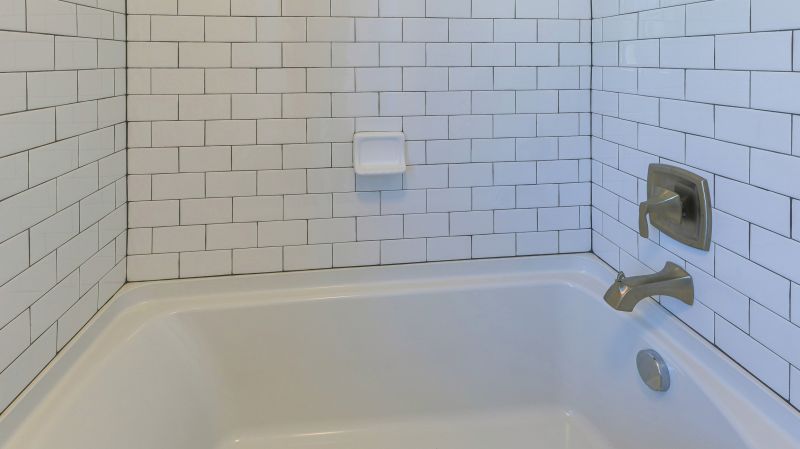 Top Bathtub Installation Companies in Grayslake, IL